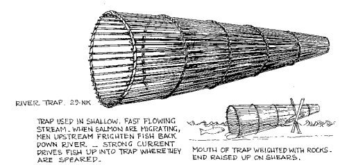 Fish Trap Army Example Field tripping. – Mrs. Kelly Love